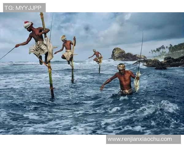 探索全球各类球类运动的起源、发展与未来趋势分析