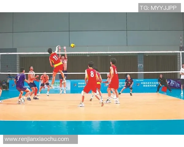 南京排球队的比赛经验揭秘与排球巨献的精彩瞬间分享