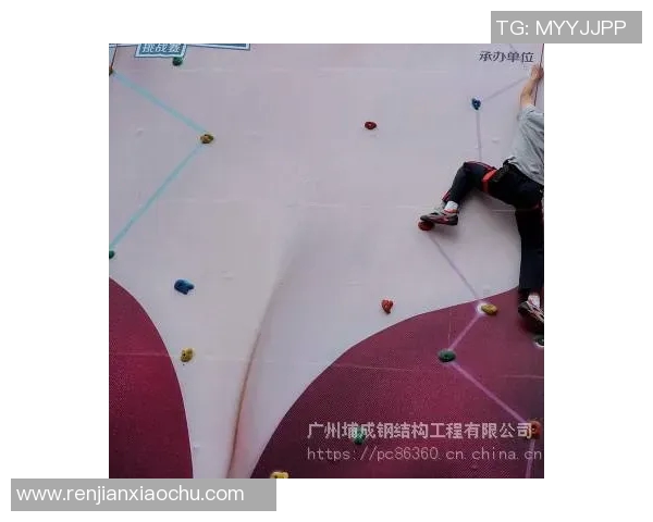 广州攀岩队区域防守分析与比赛表现的深度探讨