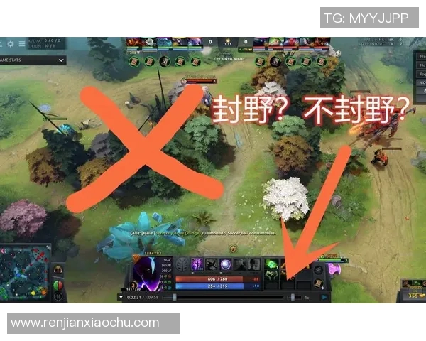 DOTA2战术解析：深入探讨LNG战队的边路渗透策略与执行