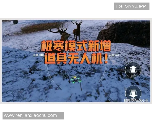 和平精英V5版本深度解析盯防机制与战术运用技巧 和平精英V5版本深度解析盯防机制与战术运用技巧