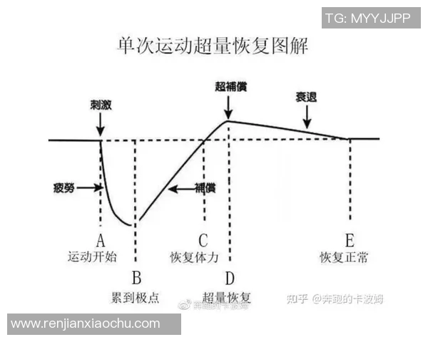 运动员心率变化对训练效果与身体适应性的影响分析 运动员心率变化对训练效果与身体适应性的影响分析